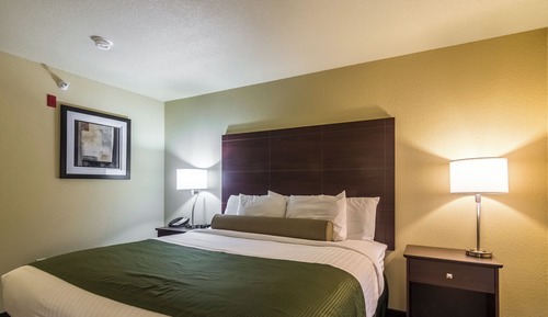 Room, 1 King Bed, Accessible, Non Smoking
