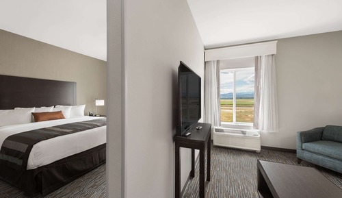 Studio Suite, 1 King Bed, Refrigerator & Microwave
