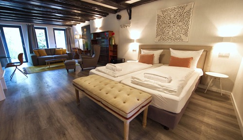 Junior Studio Suite, 1 King Bed, Patio, Garden View