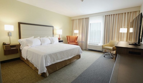 Room, 1 King Bed, Accessible, Non Smoking