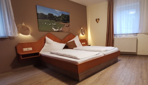 Standard Double Room Single Use