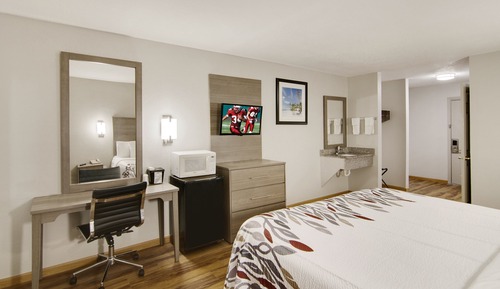 Deluxe Room, 1 King Bed, Accessible, Non Smoking (Roll-In Shower)