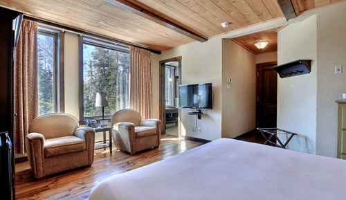 Forest room