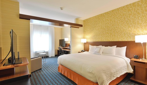 Suite, 1 King Bed with Sofa bed
