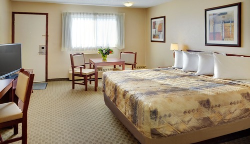 Room, 1 King Bed