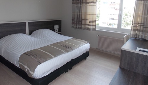 Standard Double or Twin Room, Mountain View
