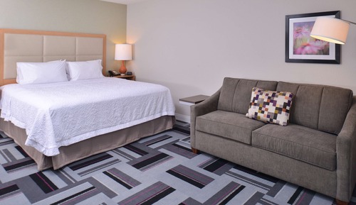 Room, 1 King Bed with Sofa bed, Non Smoking, Refrigerator & Microwave