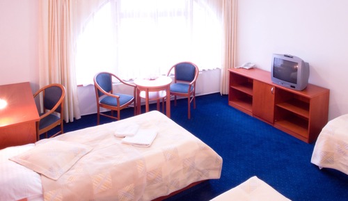 Superior Triple Room, City View