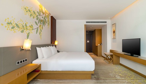 Room, 1 King Bed, City View (High Floor)