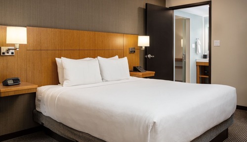 Suite, 1 King Bed with Sofa bed