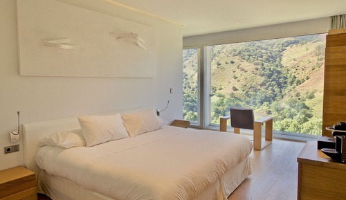 Basic Room, 1 King Bed, Accessible, Mountain View