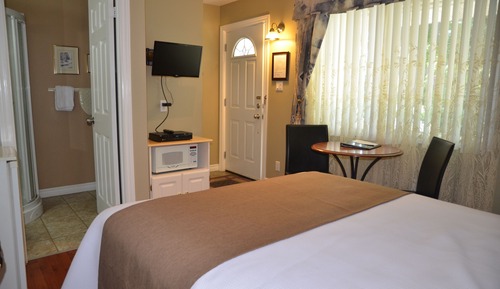Room, 1 Queen Bed