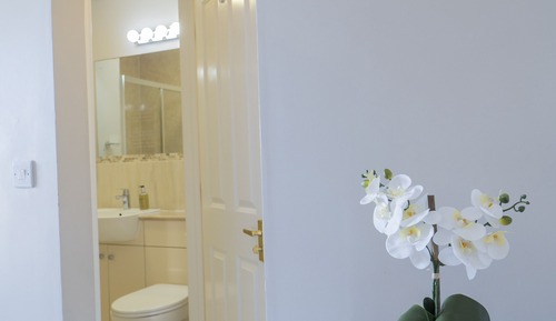 Suite, 1 Bedroom