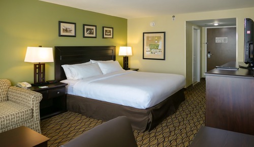 Standard Room, 1 King Bed with Sofa bed