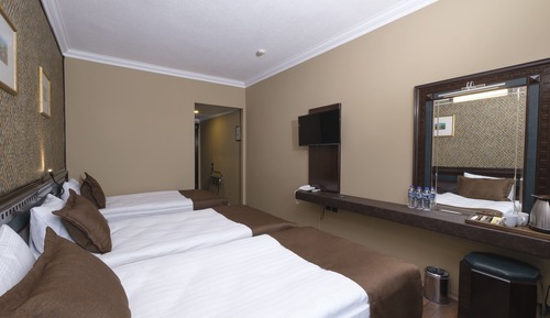 Basic Triple Room