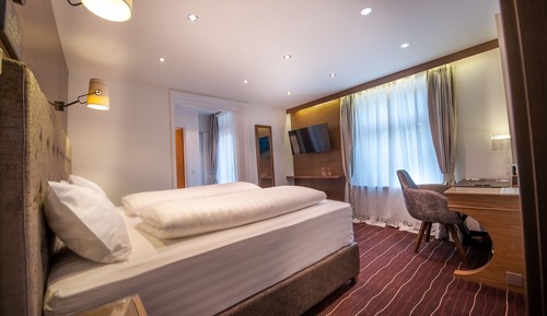 Standard Double Room, Mountain View