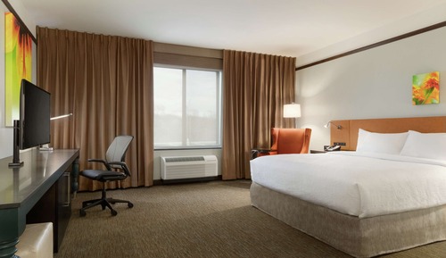 Room, 1 King Bed, Accessible, Non Smoking (w/ bathtub)