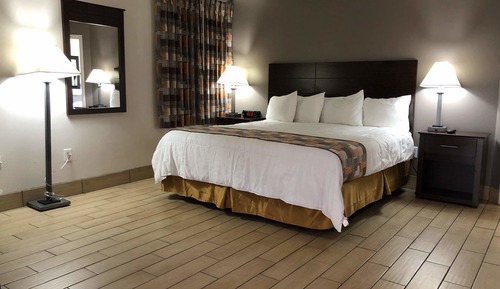 Deluxe Suite, 1 King Bed with Sofa bed