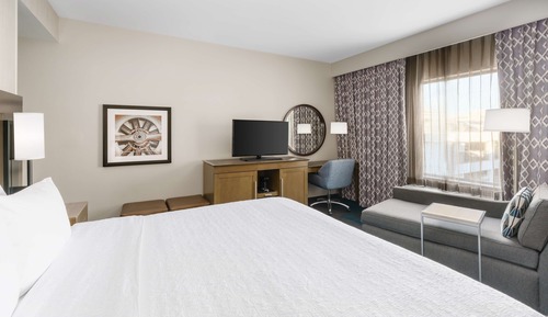 Room, 1 King Bed, Non Smoking, Bathtub