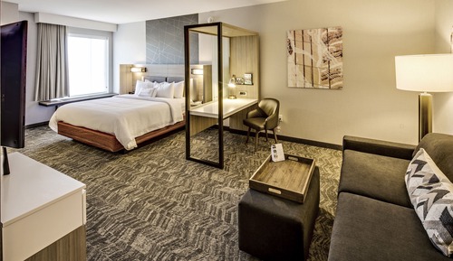 Suite, 1 King Bed with Sofa bed, Non Smoking (Mobility Accessible, Tub)