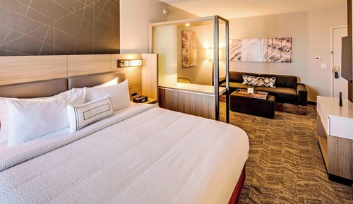 Suite, 1 King Bed with Sofa bed