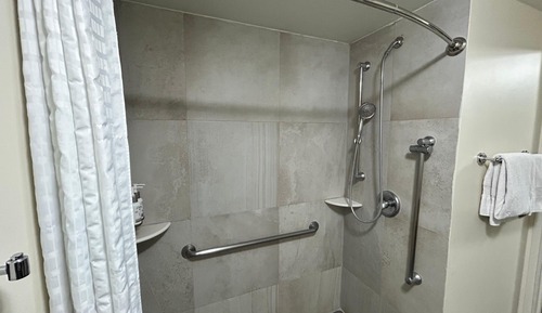 Studio Suite, 1 King Bed, Roll-in Shower