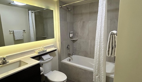 Suite, 1 King Bed