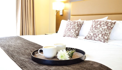 Single Room, 1 Queen Bed