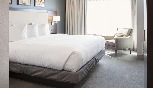 Deluxe Suite, 1 King Bed with Sofa bed