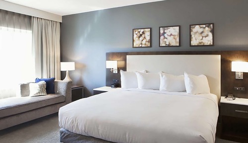 Room, 1 King Bed