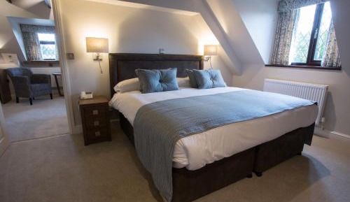 Large Suite