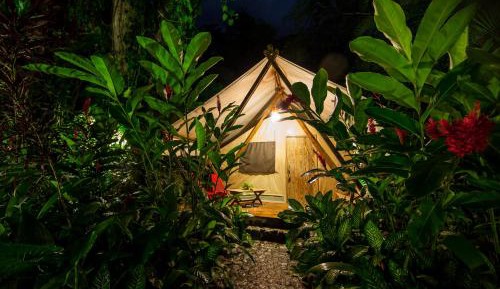 King Luxury Tent
