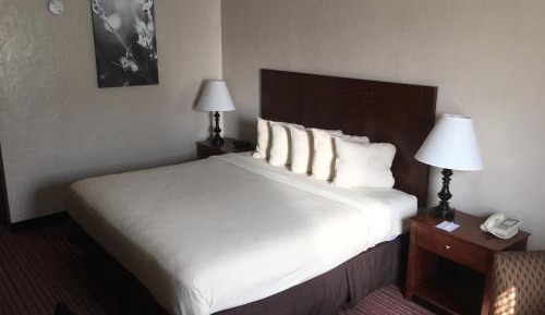 Single Room - Disability Access