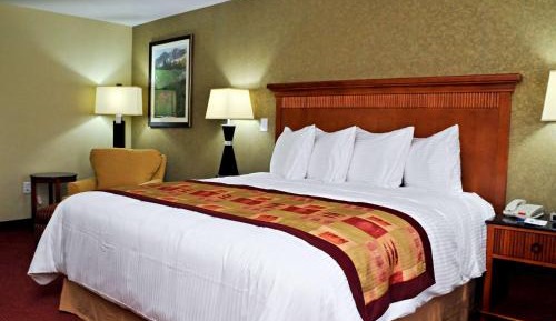 King Room with Kitchenette - Non-Smoking