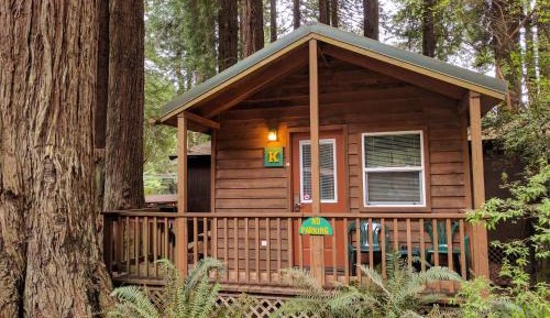 Queen Room - Pets Allowed