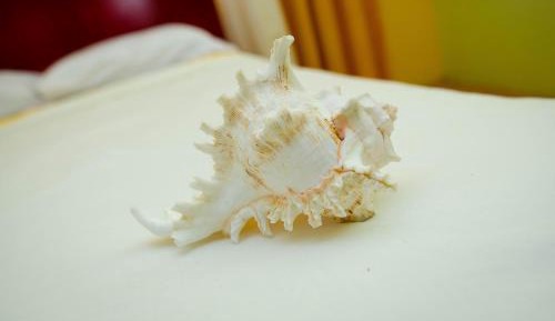 Deluxe Double Room with Shower