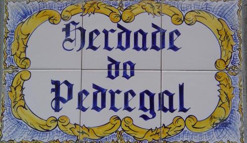 Studio with Garden View