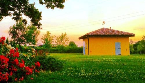 Studio with Garden View