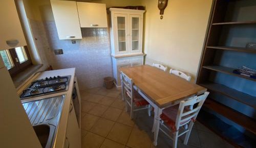 Bunk Bed in Mixed Dormitory Room