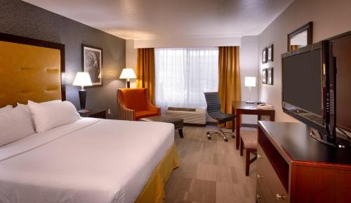 King Suite with Sofa Bed