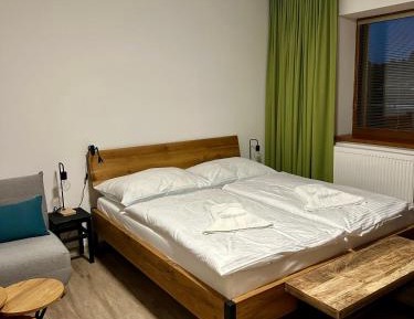 One-Bedroom Apartment with Terrace