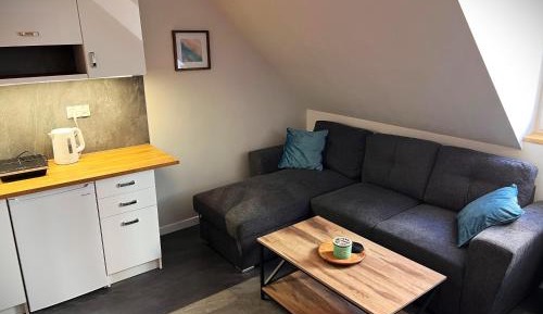 One-Bedroom Premium Apartment