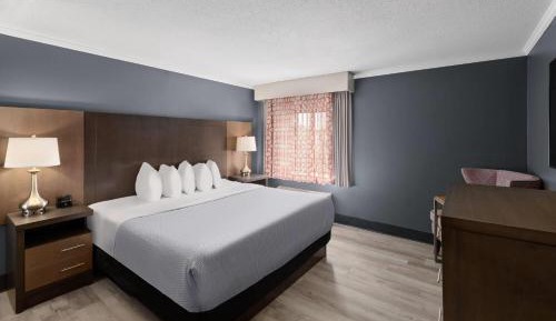 One-Bedroom Deluxe Family Suite - Non-Smoking