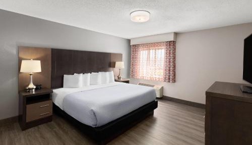 King Studio Suite - Non-Smoking