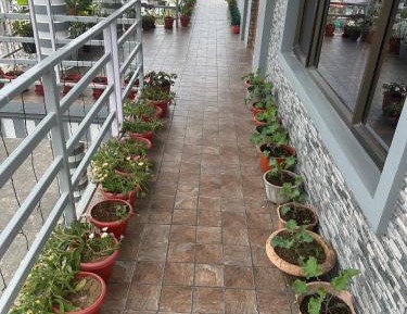 Family Room with Balcony