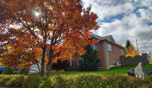 Double Room with Shared Toilet