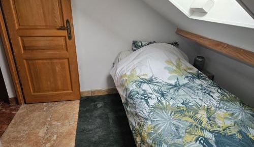 Single Room with Garden View