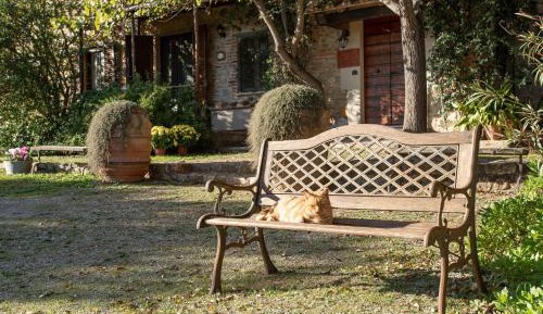 Superior One-Bedroom Apartment