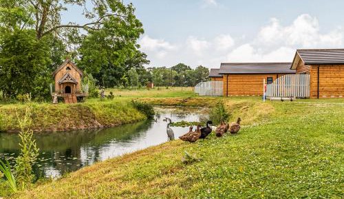 Three-Bedroom House 2