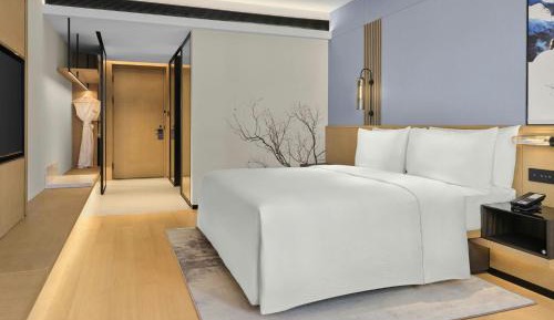 Superior King Room with City View